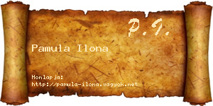 Pamula Ilona névjegykártya